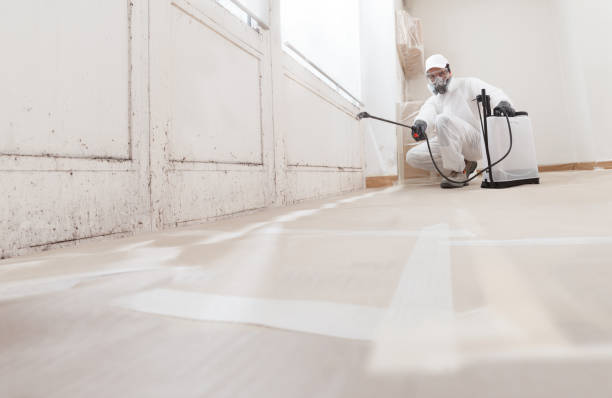 24/7 Emergency Mold Remediation experts in Abingdon, VA