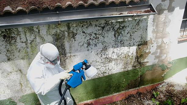 Trusted Mold Remediation service in Abingdon, VA - Cheap Mold Removal
